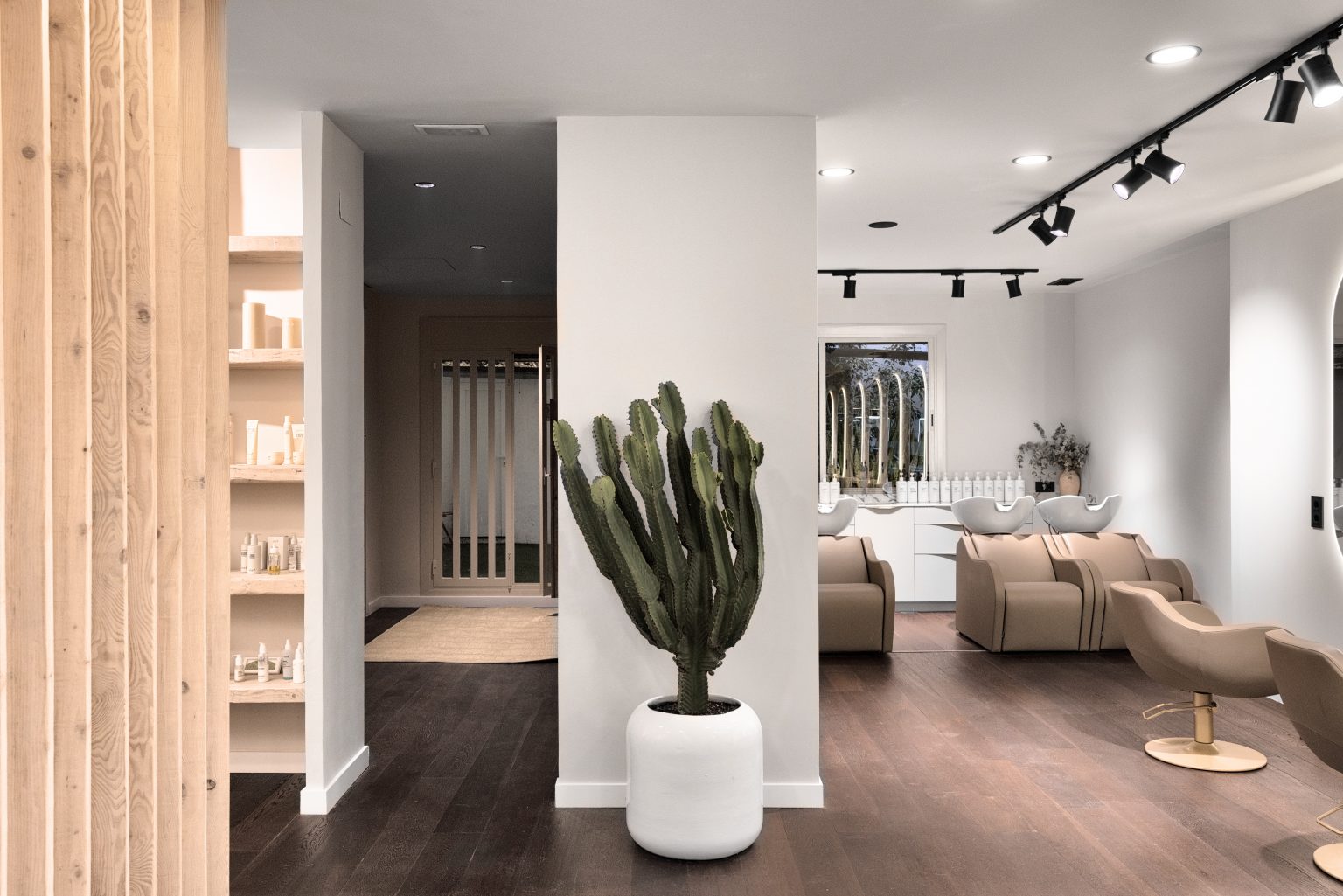 Interior de peluquería Mataró La Están Peinando con cactus y lavacabezas para cuidado capilar