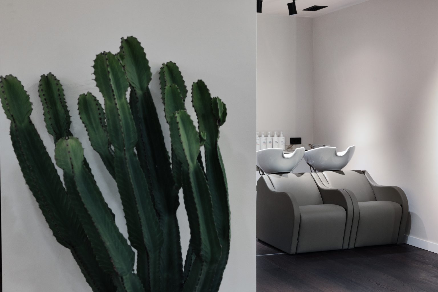 Interior de La Están Peinando, peluquería Mataró con cactus y lavacabezas